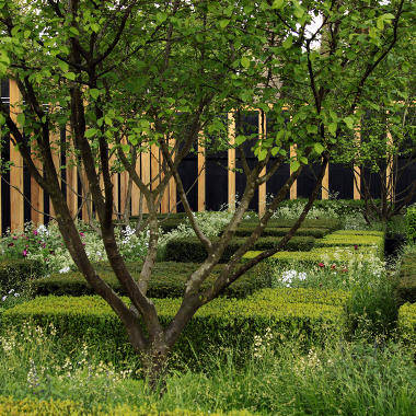 Челси 2013 (Chelsea Flower Show 2013) The Telegraph Garden