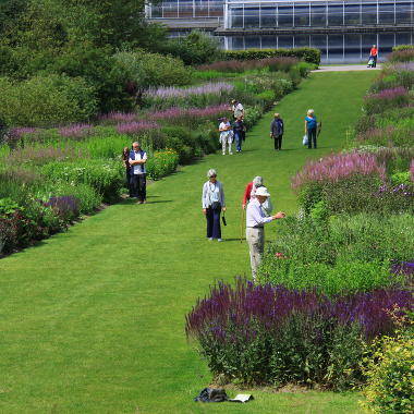 Цветочные бордюры в Wisley RHS Garden