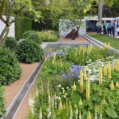 Челси 2014 Chelsea Flower Show 2014. The Laurent-Perrier Garden Champagne Laurent-Perrier