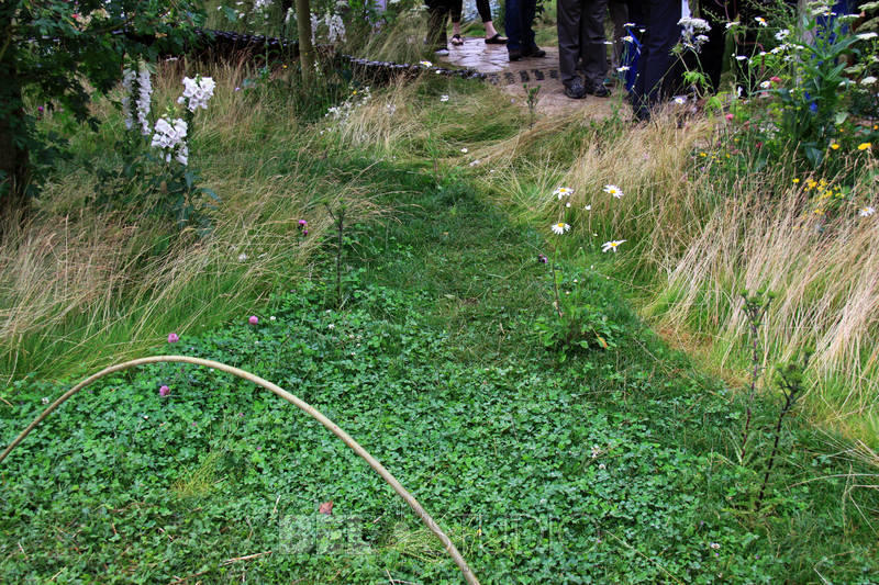 Show Garden. The Badger Beer Garden 