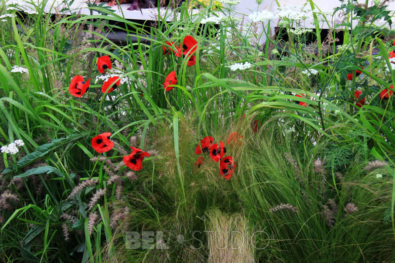 World Garden.  Russian Museum Garden