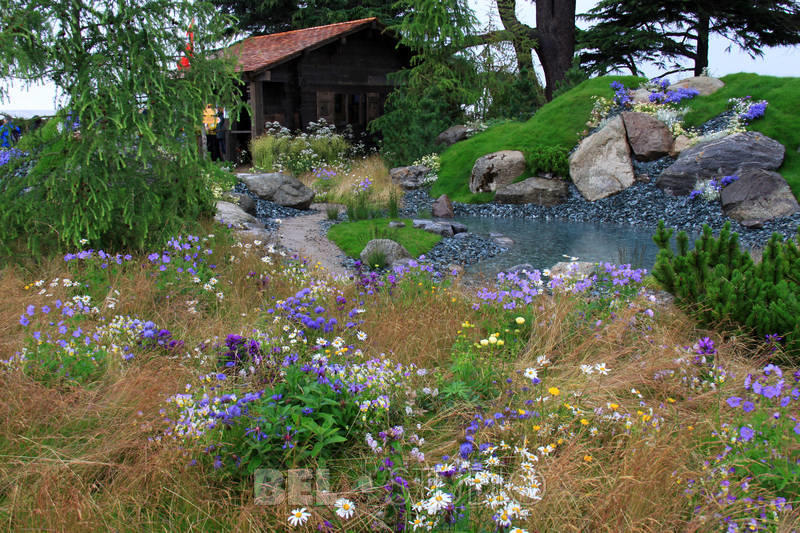 World Garden.  Швейцарский альпийский сад