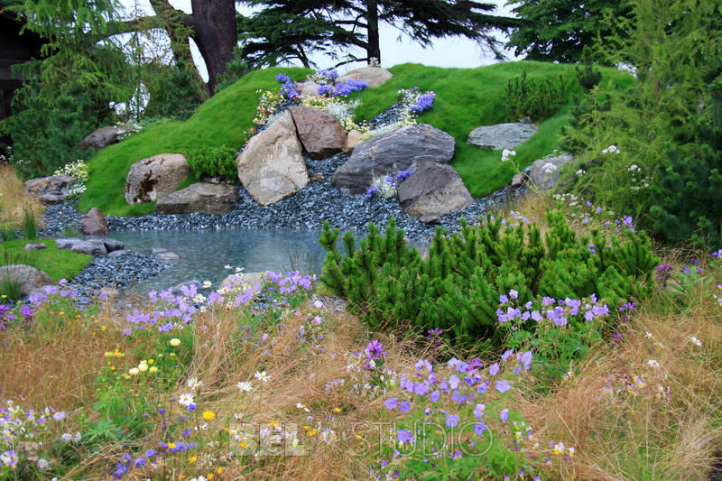 World Garden.  Швейцарский альпийский сад