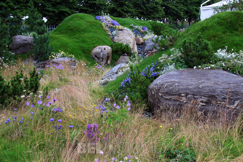 World Garden.  Швейцарский альпийский сад