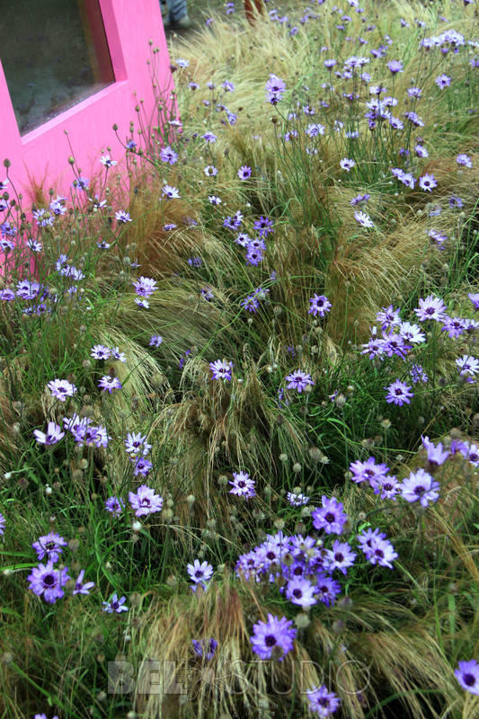 Концептуальный сад. Лас Mariposas (Надежды никарагуанских девушек) дизайнер Роберт Кеннет  