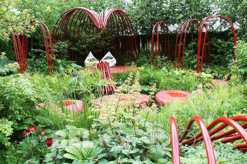 British Heart Foundation Garden, диз. Ann-Marie Powell