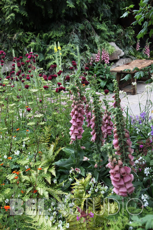 The HESCO Garden