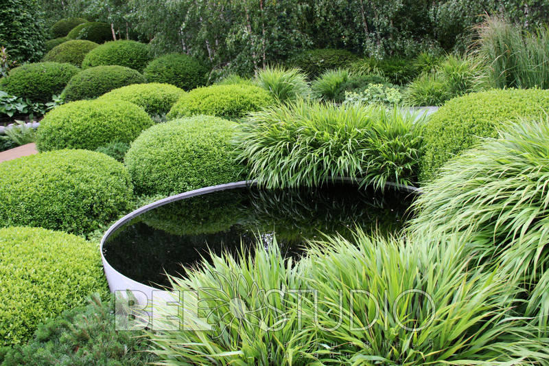 The Irish Sky Garden, дизайнер Диамунд Гевин