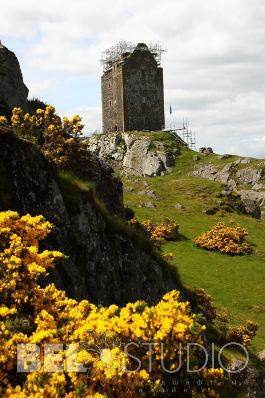 Smailholm Tower . Южная Шотландия  