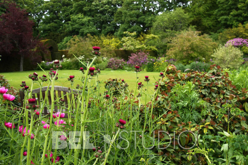 Malleny House Garden (Сады дома Мэллени). Балерно  