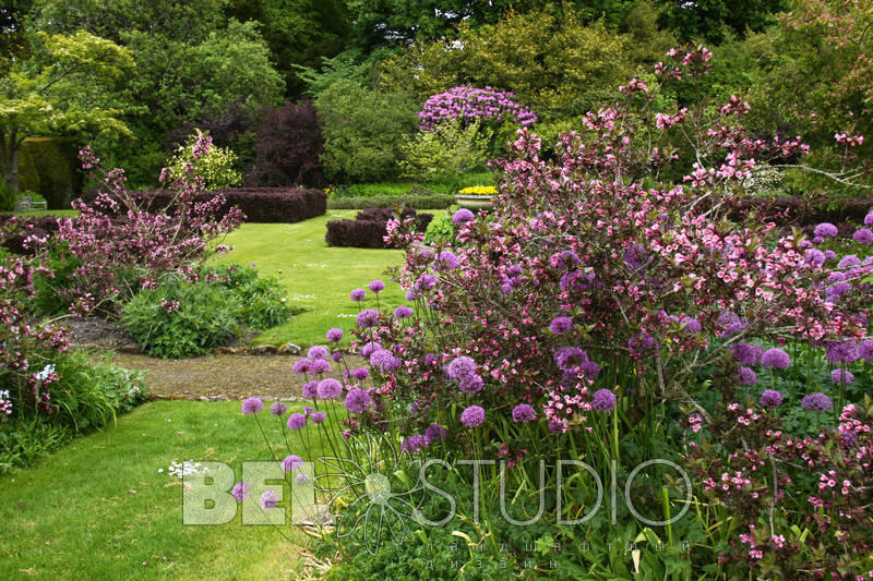 Malleny House Garden (Сады дома Мэллени). Балерно  