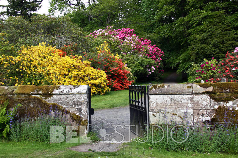 Scone Palace Gardens (Сады при дворце Скоун). Перт 