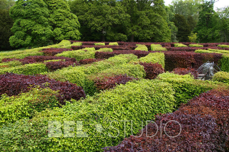 Лабиринт Scone Palace Gardens. 