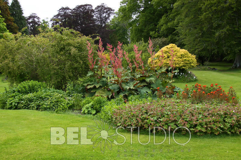 Scone Palace Gardens (Сады при дворце Скоун). Перт  