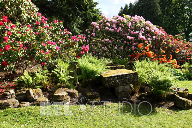 Scone Palace Gardens (Сады при дворце Скоун). Перт  