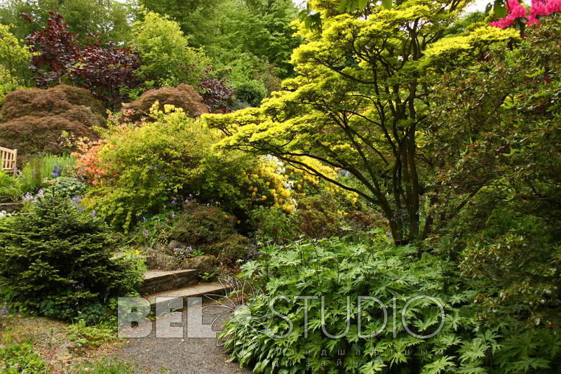 Branklyn Garden (Сад Бранклин) Перт 