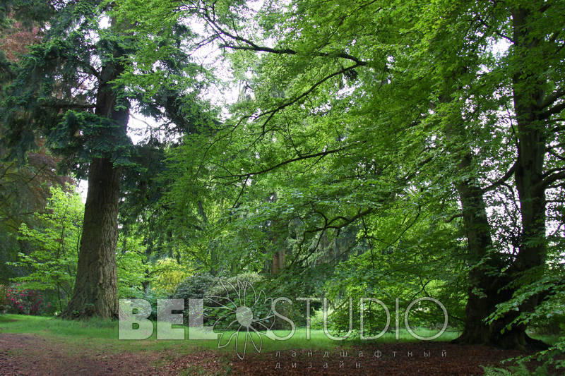 Glamis Castle Gardens (Cады замка Глемис) 