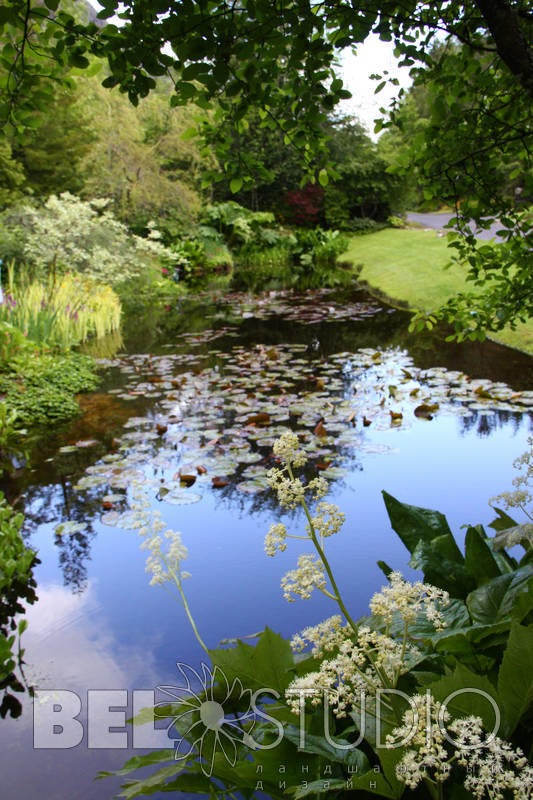 Attadale Gardens (Сад Эттедейл)