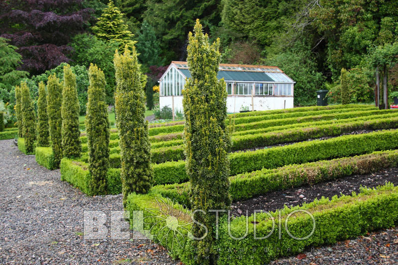 Attadale Gardens (Сад Эттедейл) 