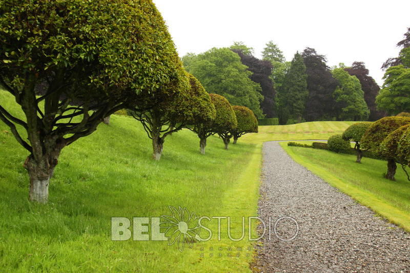 Drummond Castle Gardens 