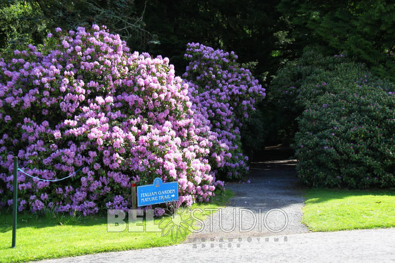 Glamis Castle Gardens . Шотландия