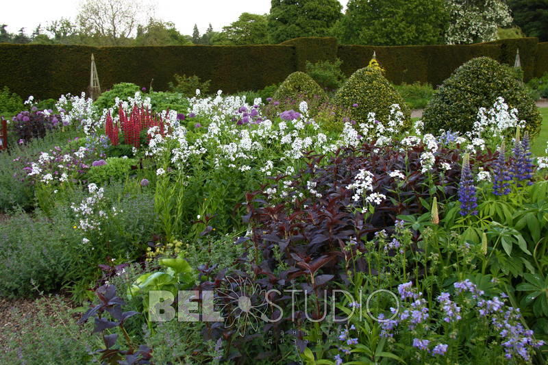 Итальянский сад. Glamis Castle Gardens 