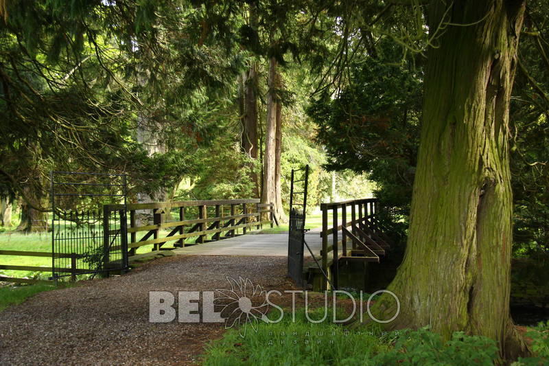 Glamis Castle Gardens. Хвойный дендрарий 