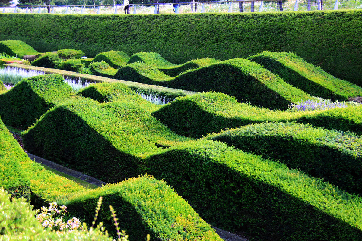 Thames Barrier Park. Лондон. июль
