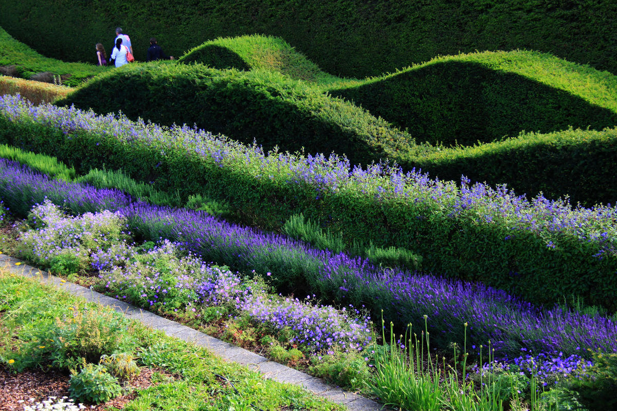 Thames Barrier Park. Лондон. июль
