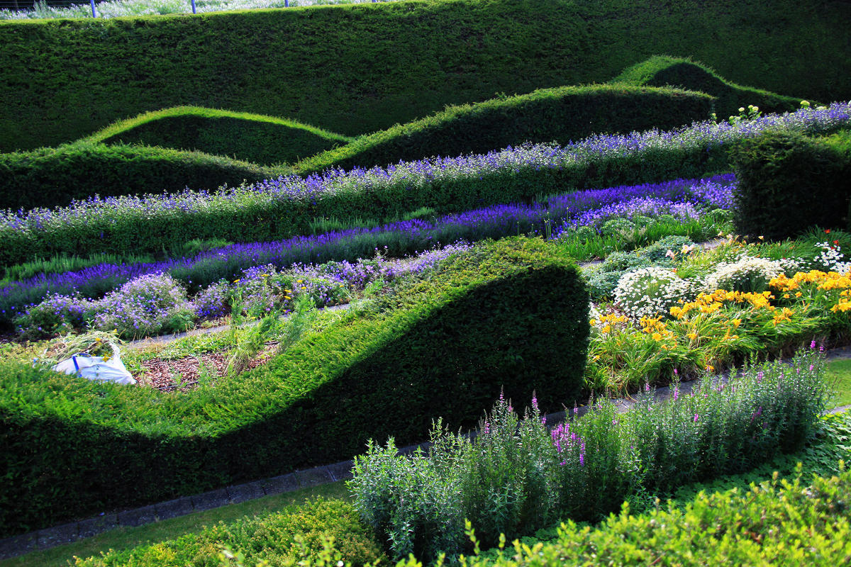 Thames Barrier Park. Лондон. июль
