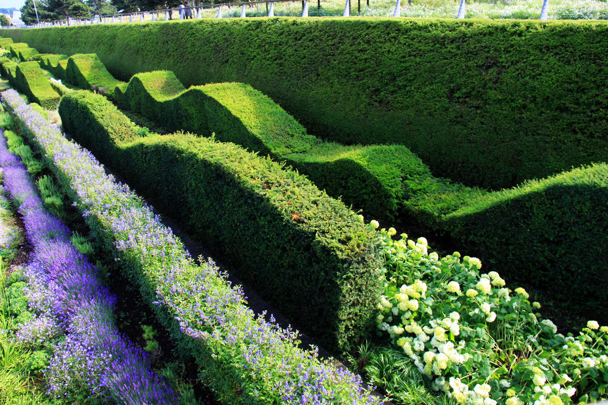 Thames Barrier Park. Лондон.