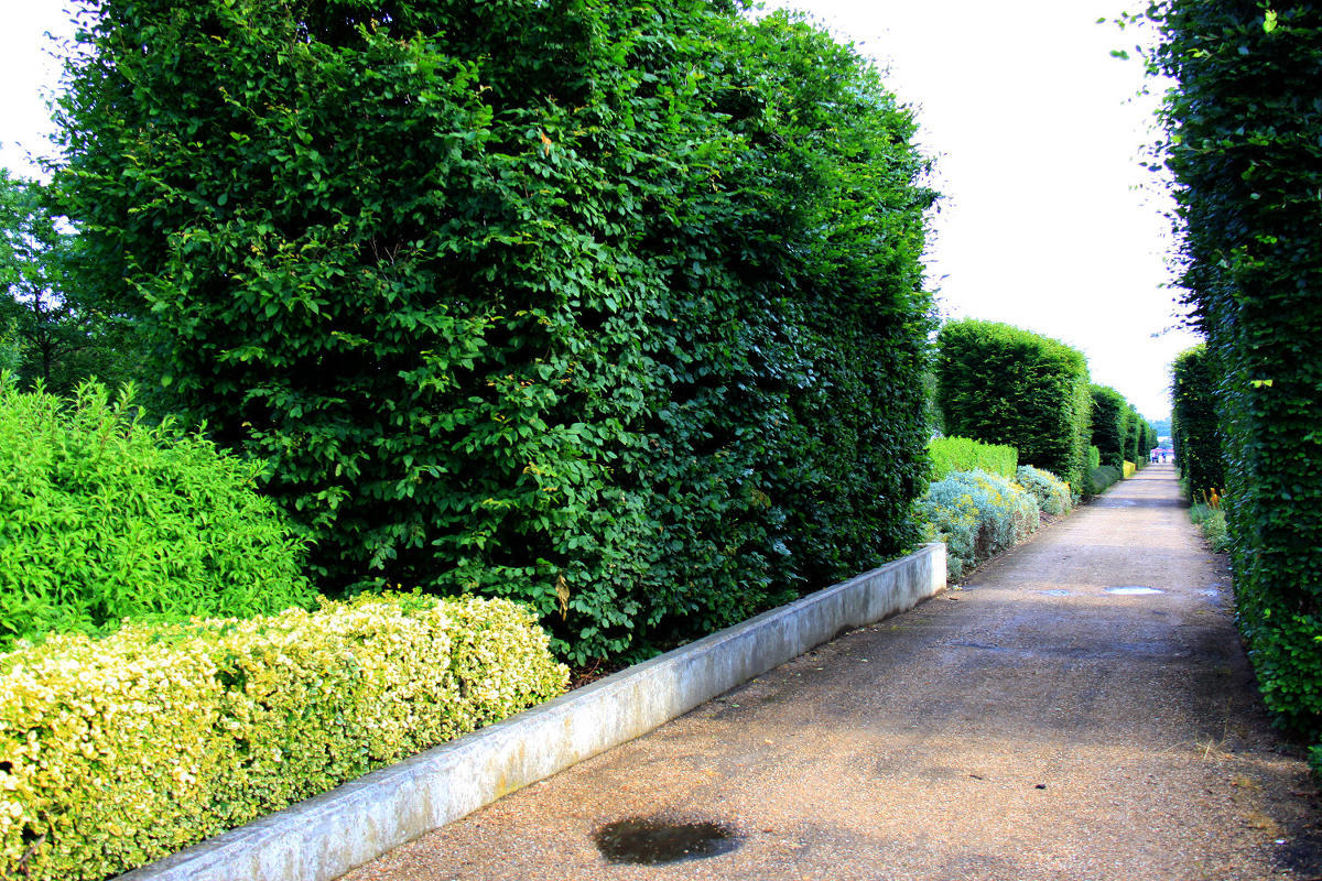 Thames Barrier Park. Лондон.