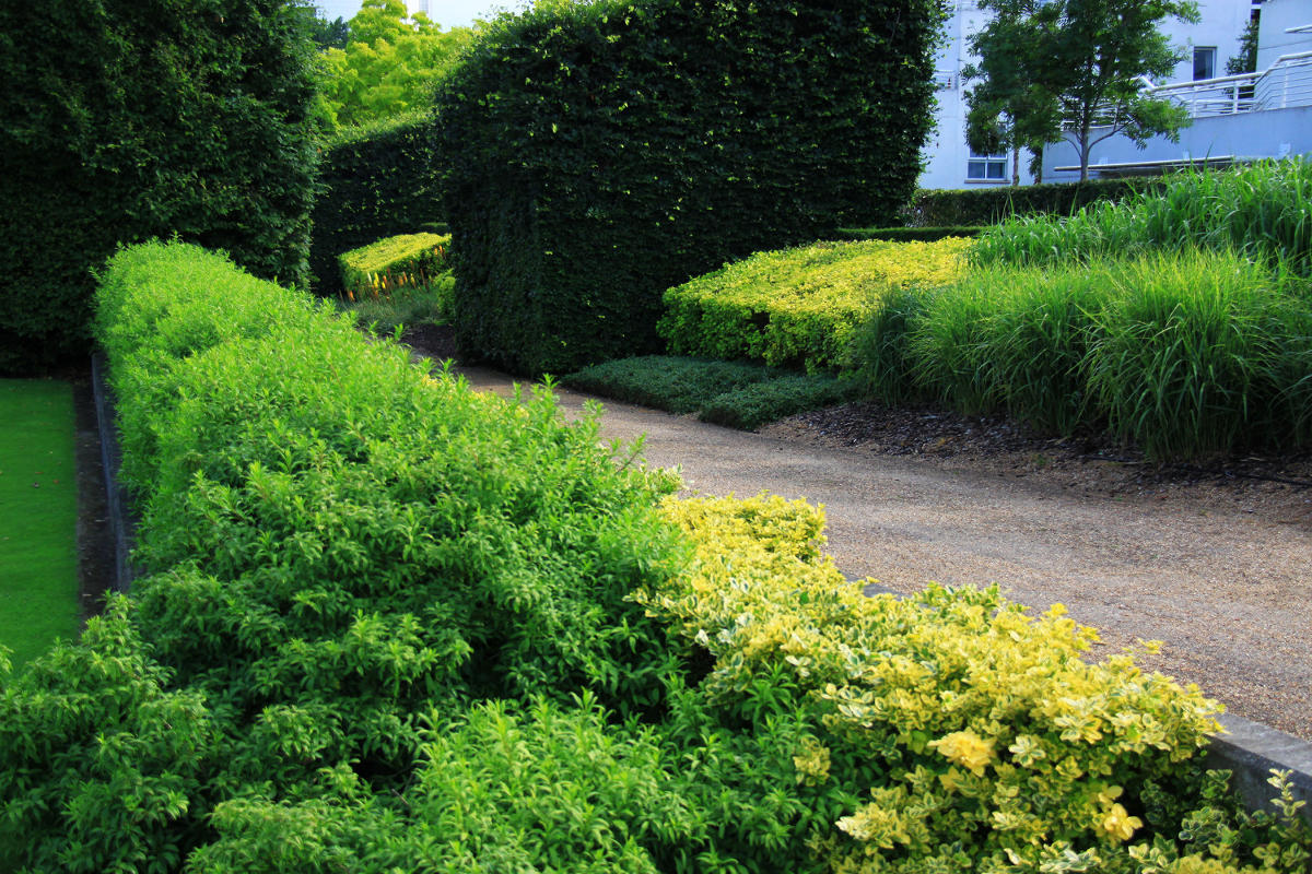 Thames Barrier Park. Лондон.