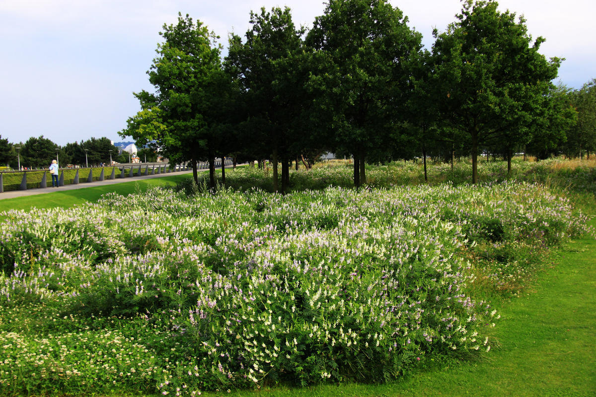 Thames Barrier Park. Лондон.