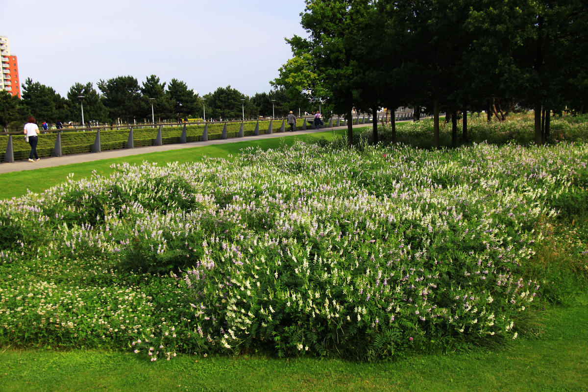 Thames Barrier Park. Лондон.