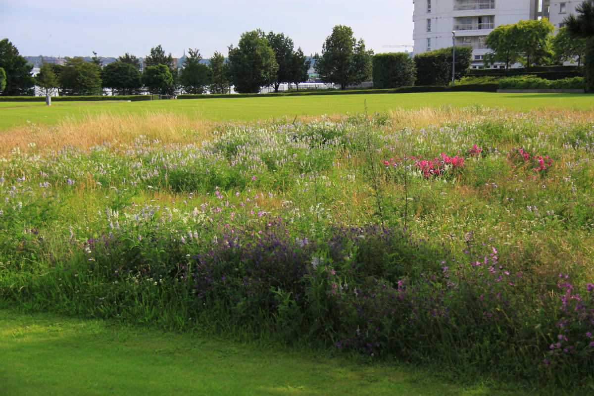 Thames Barrier Park. Лондон.