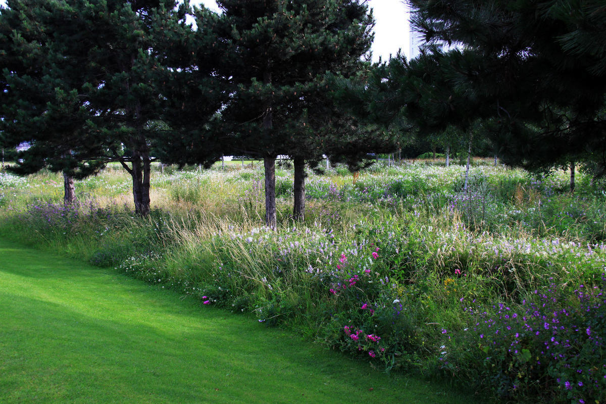 Thames Barrier Park. Лондон.