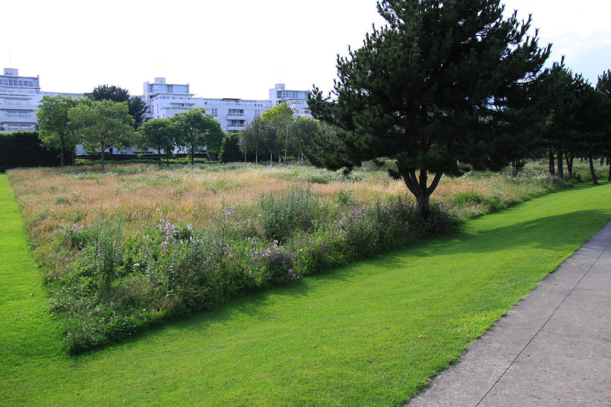 Thames Barrier Park. Лондон.