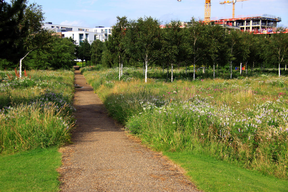 Thames Barrier Park. Лондон.