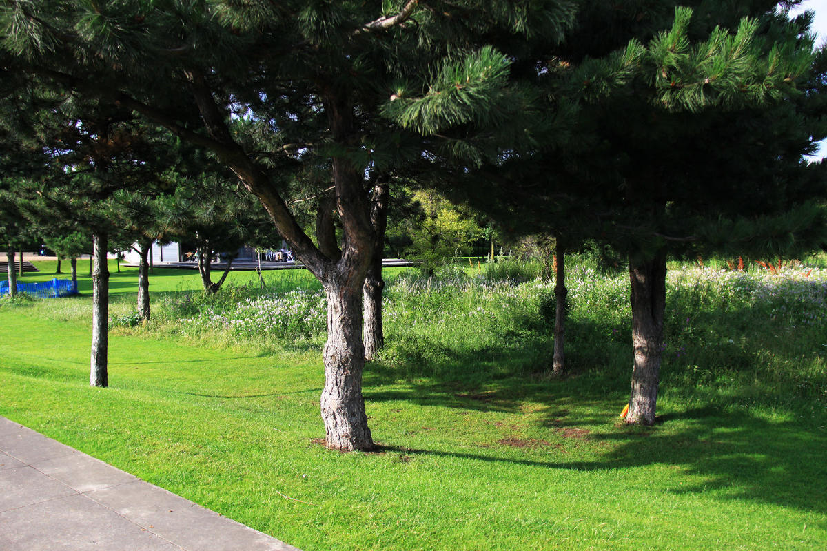 Thames Barrier Park. Лондон.