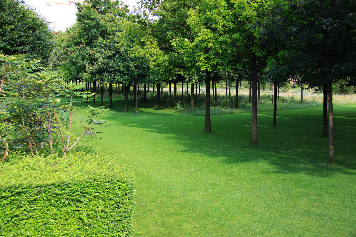 Thames Barrier Park. Лондон.