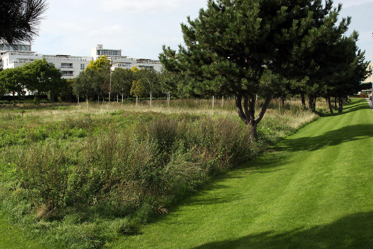 Thames Barrier Park. Лондон. осень, сентябрь