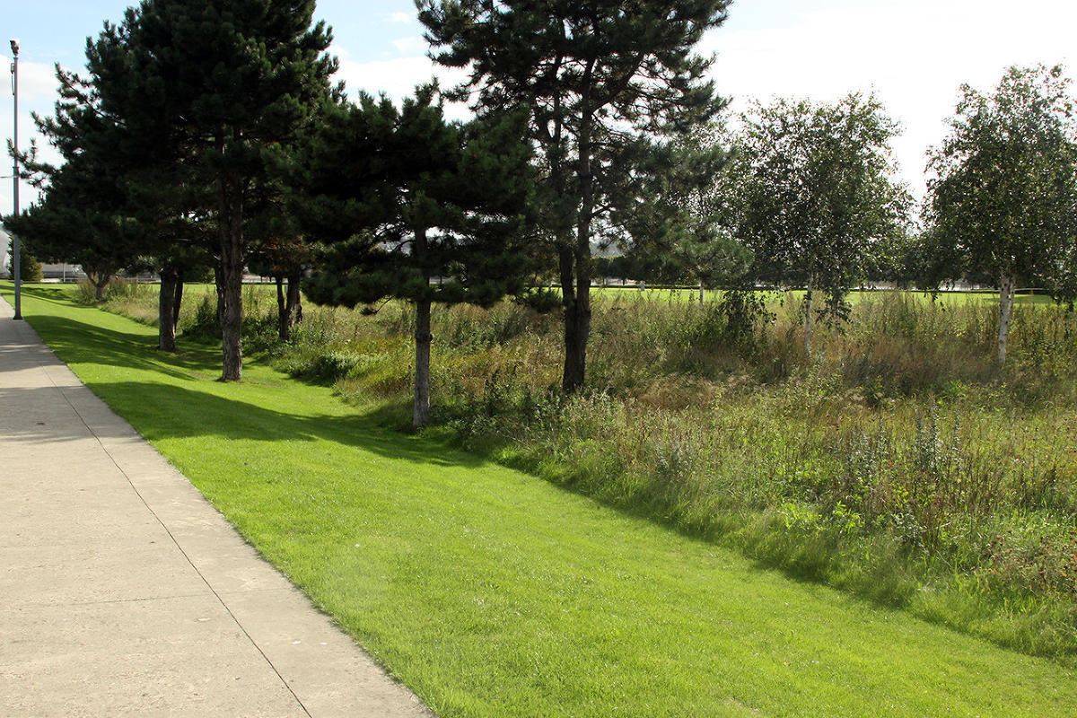 Thames Barrier Park. Лондон. осень, сентябрь