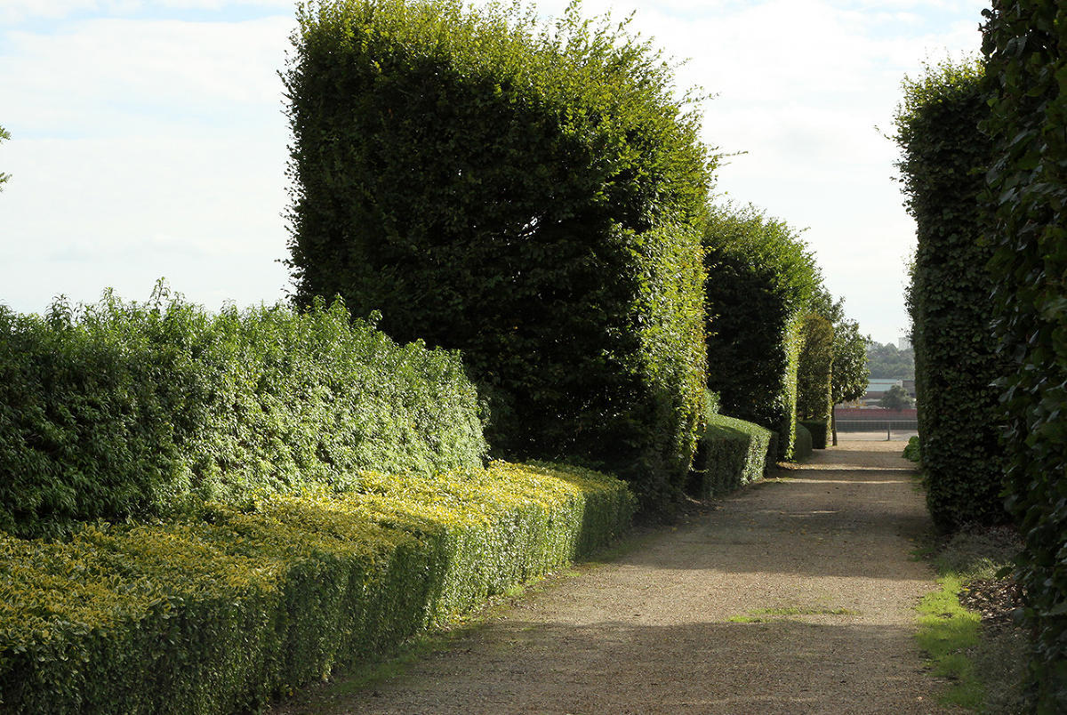 Thames Barrier Park. Лондон. осень, сентябрь