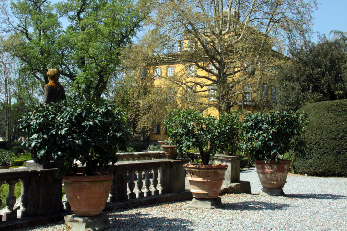 Villa Torrigiani