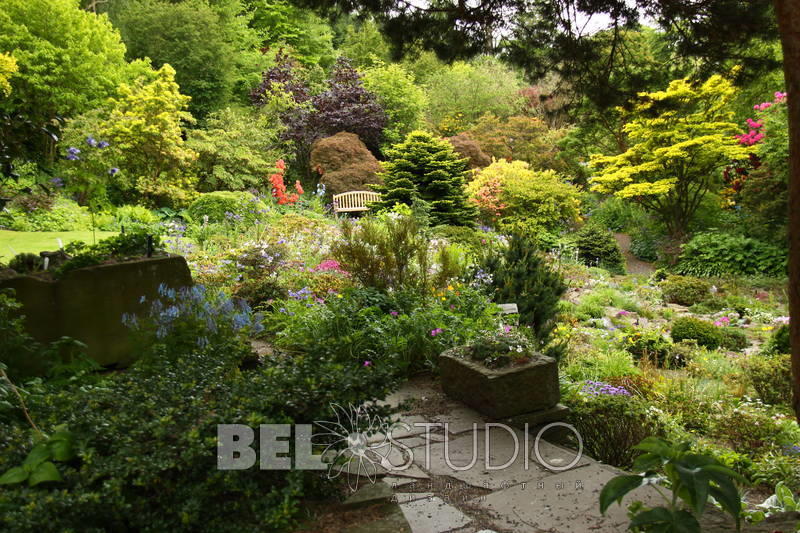 Branklyn Garden.  Шотландия. Перт