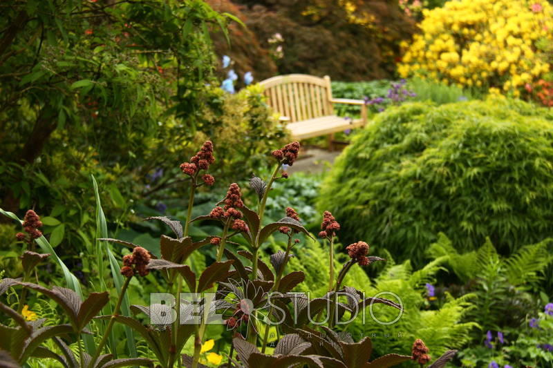 Branklyn Garden.  (Сад Бранклин) Шотландия.Перт