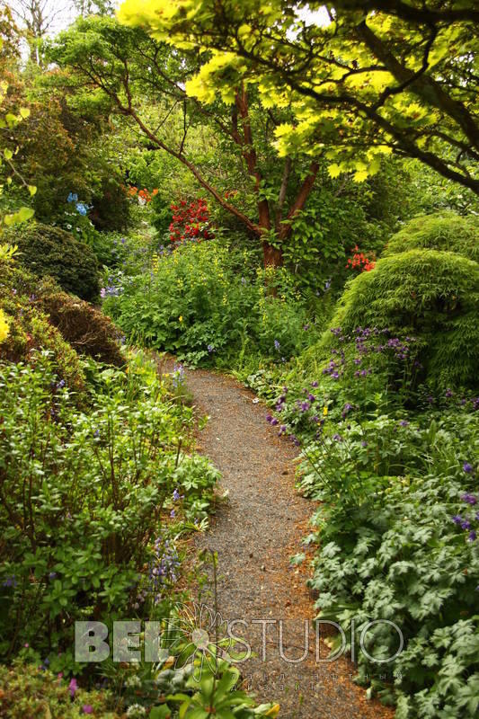 Branklyn Garden.  Шотландия. Перт