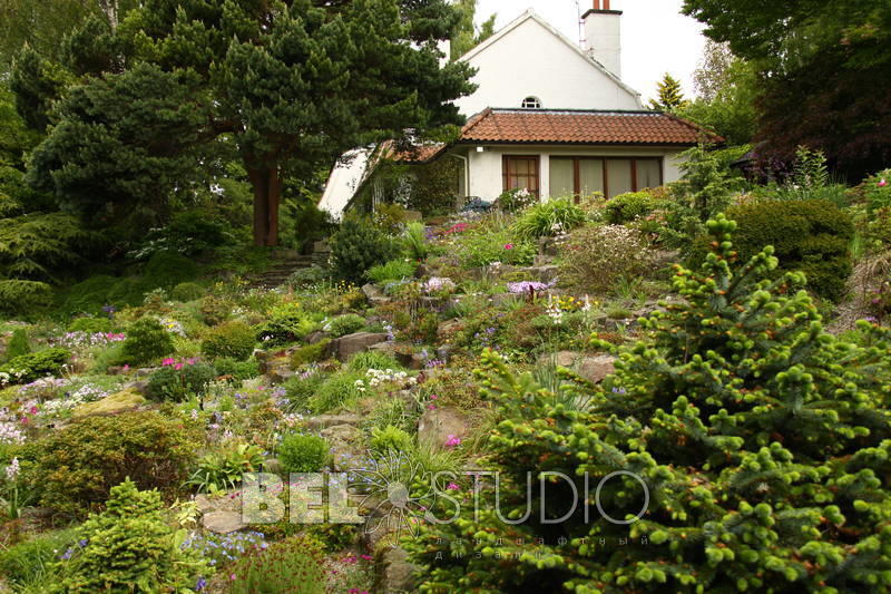 Branklyn Garden.  (Сад Бранклин) Шотландия.Перт