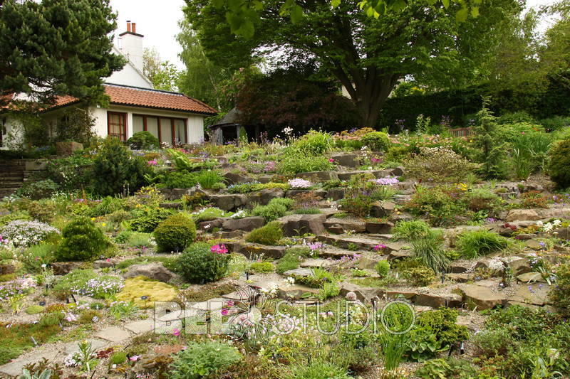 Branklyn Garden.  (Сад Бранклин) Шотландия.Перт